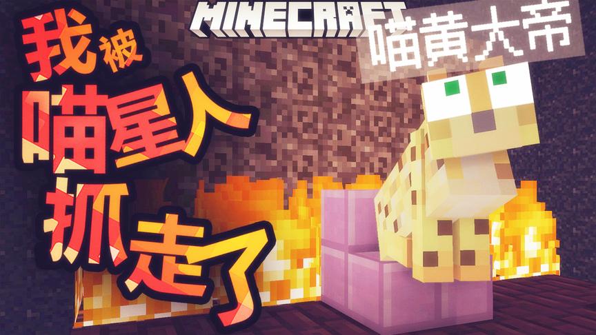 我的世界，如果喵星人抓人会是怎样？