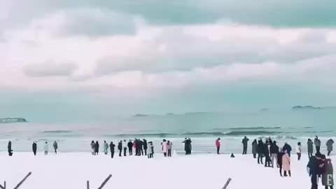 和我，在日照的海边走一走