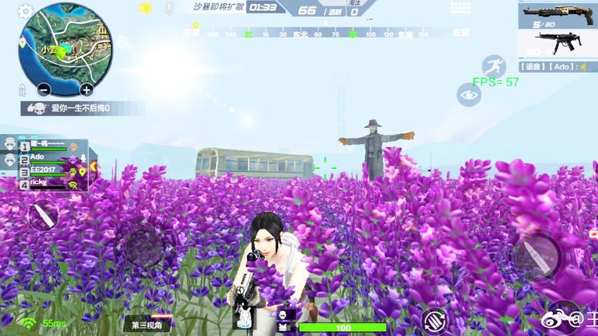 CF荒岛特训：游戏里有十亩紫罗兰你们知道么？简直就是花的海洋！
