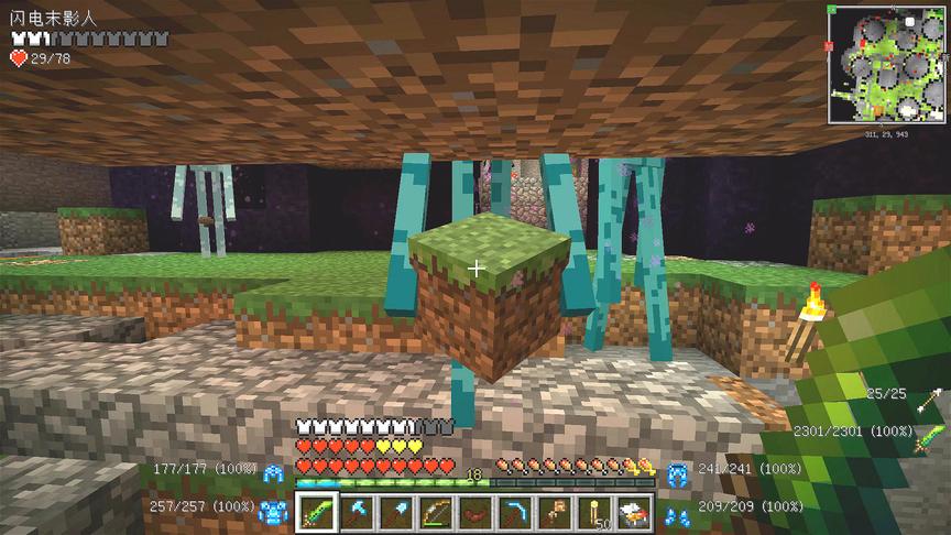 我的世界美丽新世界45：大战末影人