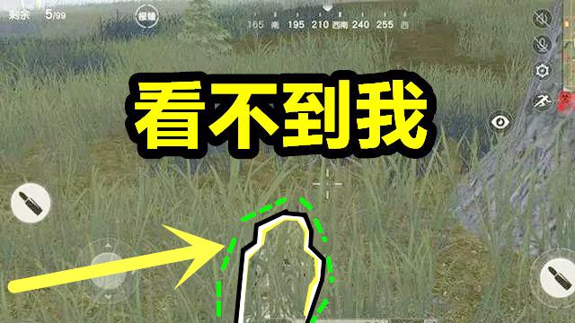 荒野行动：史上最隐蔽吉利服，视力没5.3只能吃鸡屁股！