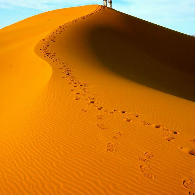 沙漠孤舟561头像