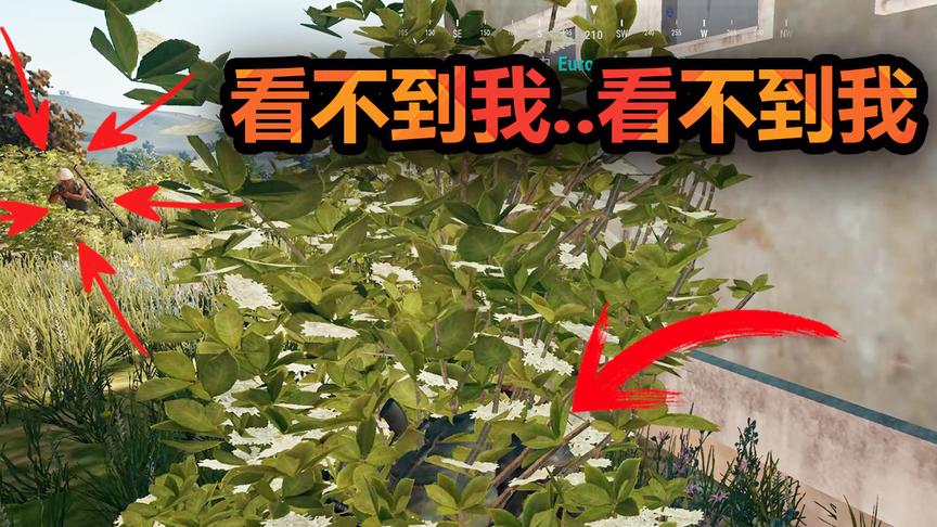 朋友天真的认为躲在草垛里敌人会看不见