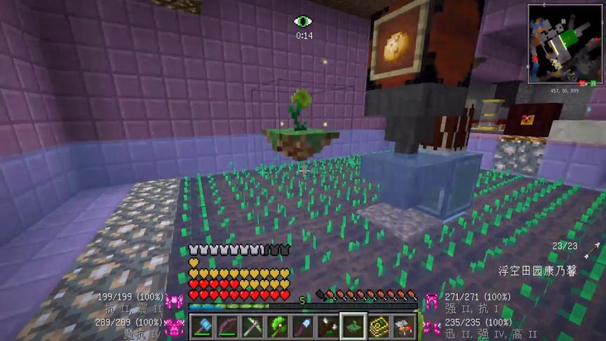 我的世界美丽新世界81：魔力之“田园康乃馨”