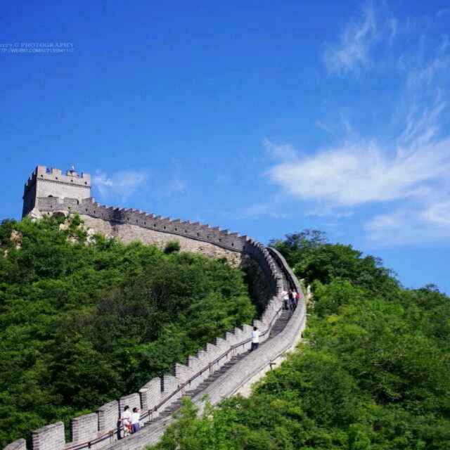 老马3393头像