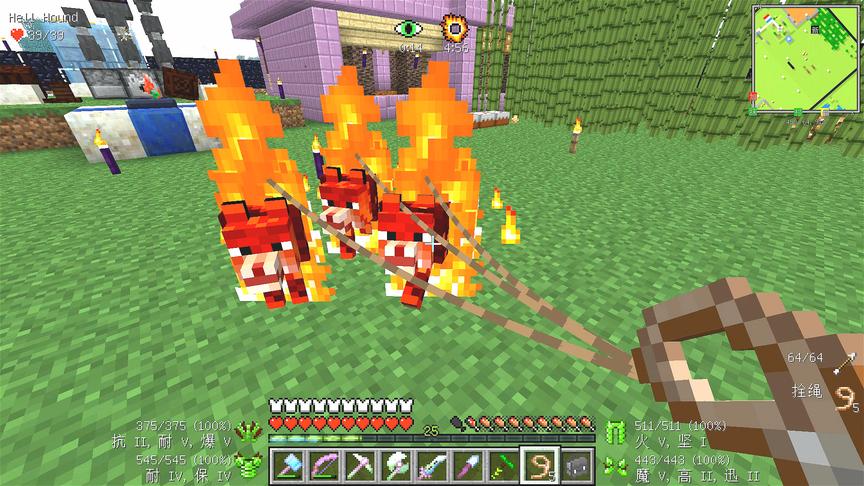 我的世界美丽新世界100：驯服火焰地狱犬