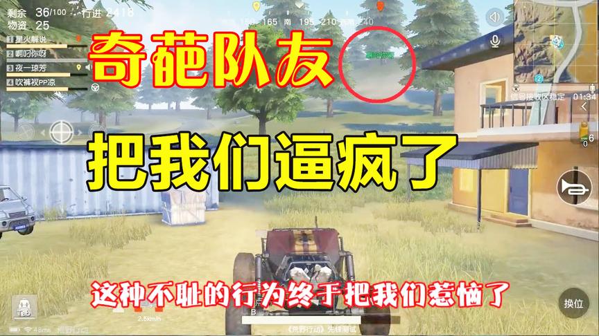 荒野行动：拿什么拯救你我的奇葩队友，快把我们逼疯了！