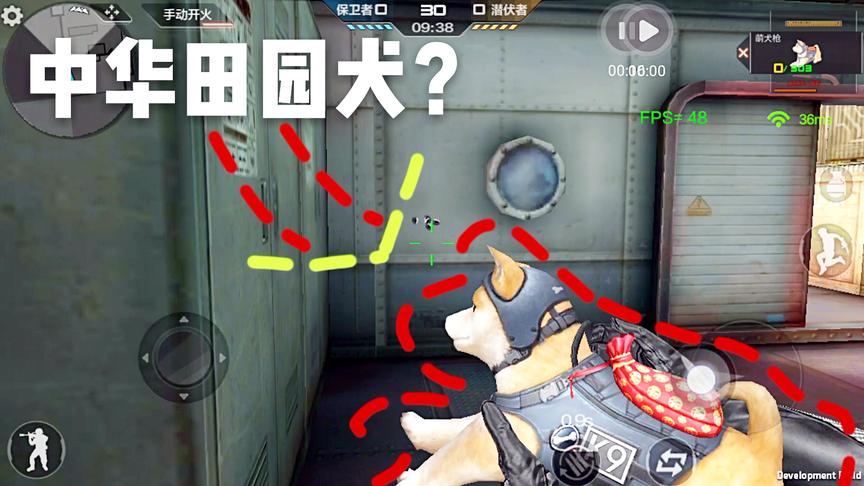 CF手游十七：体验服新武器-萌犬枪！确定这是中华田园犬么？