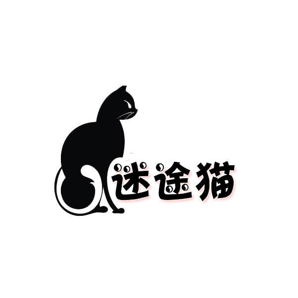 迷途猫Straycats头像