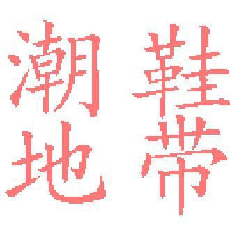 潮鞋地带头像