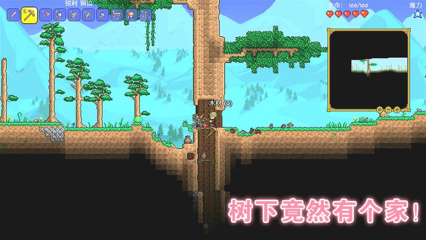 泰拉瑞亚：只会砍树的星星，神奇的找到一个家