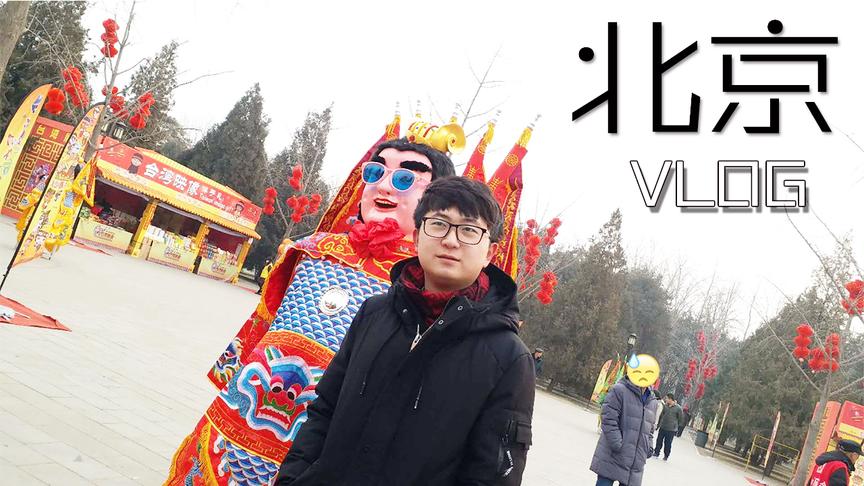 视频志VideoLog：去北京看庙会的人咯