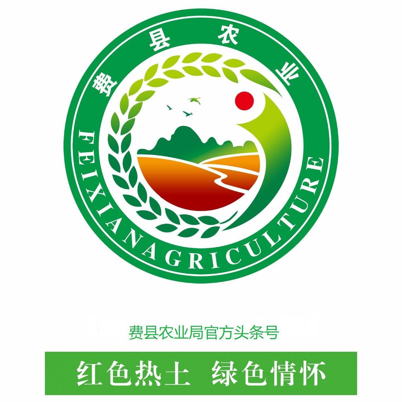 费县农业农村头像