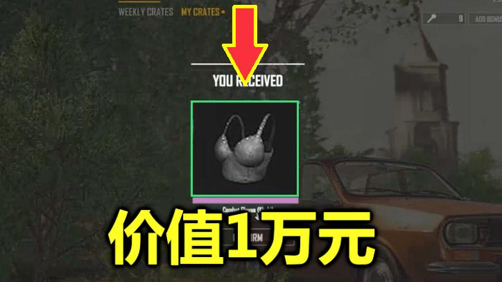 绝地求生：史上最贵一件饰品诞生，土豪直接开价10000元！