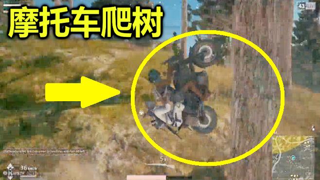 绝地求生：他苦练了2个月，终于学会这招摩托车爬树！