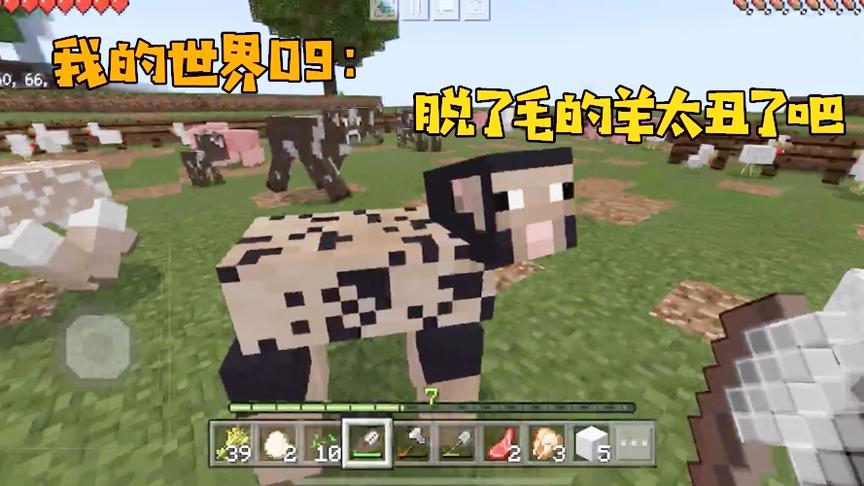 我的世界09：我承认，剪掉羊毛的那一刻，我笑成了狗！