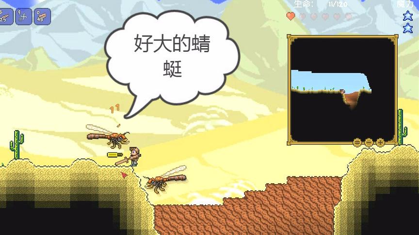 泰拉瑞亚：翻过大树，来到沙漠，好大的蜻蜓们