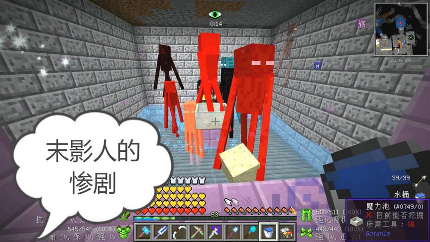 我的世界美丽新世界137：悲惨的末影人们