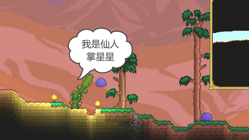 泰拉瑞亚：仙人掌星星来也