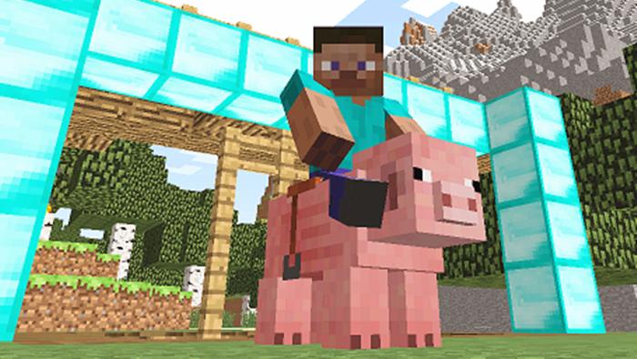 大海解说 我的世界Minecraft 钻石囚笼骑猪大奔袭