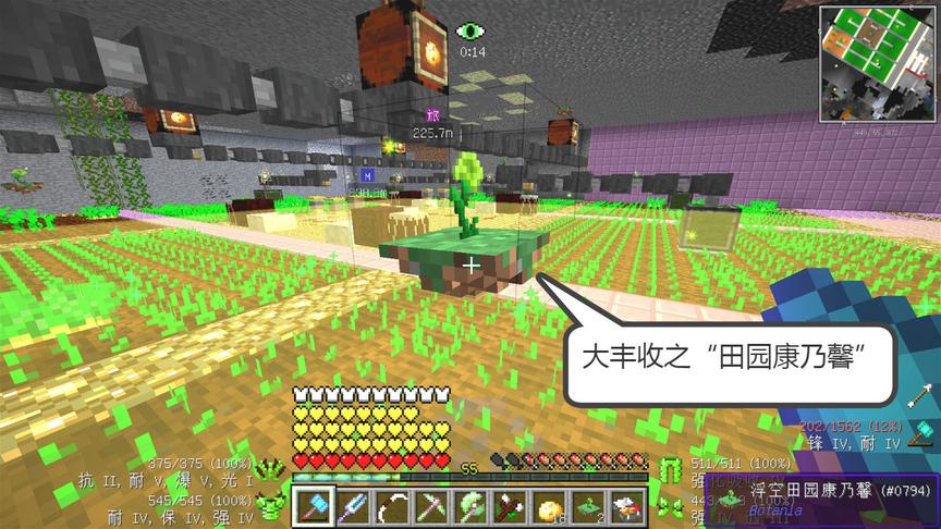 我的世界美丽新世界145：大丰收时代之“田园康乃馨”