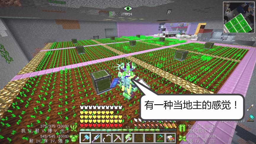 我的世界美丽新世界141：这一大片真正的马铃薯田