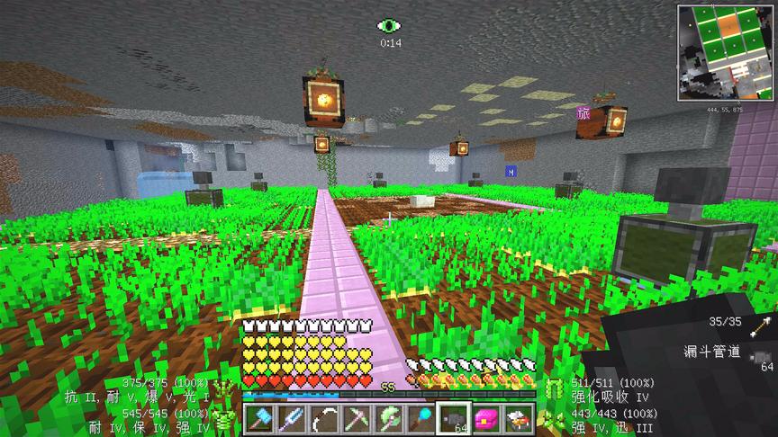 我的世界美丽新世界142：超级农场收集之漏斗花