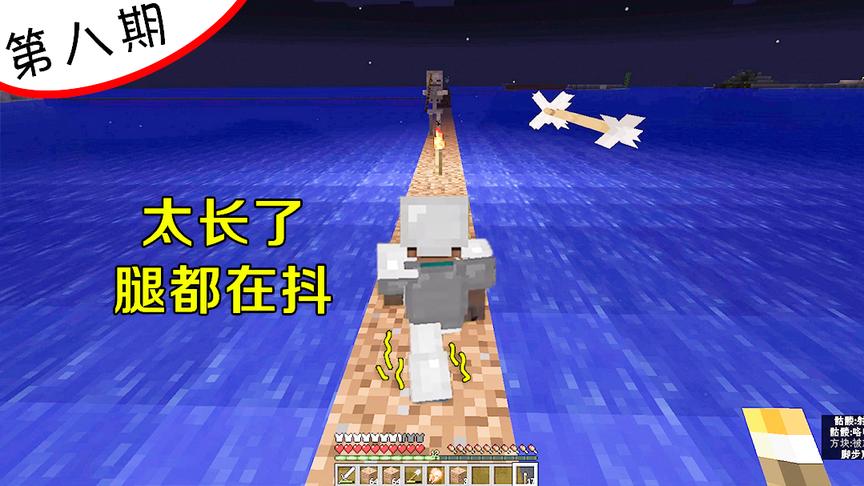 我的世界8：我用一天一夜造了个跨海大桥，走在上面腿都在发抖！