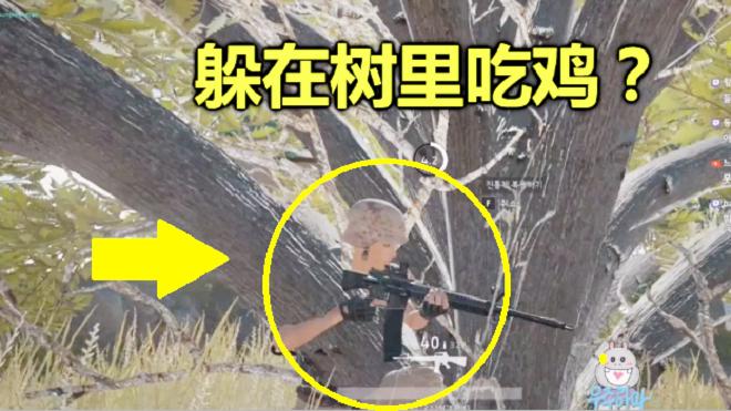 绝地求生：躲在一颗大树里，阴死了所有人，不愧老阴比的始祖