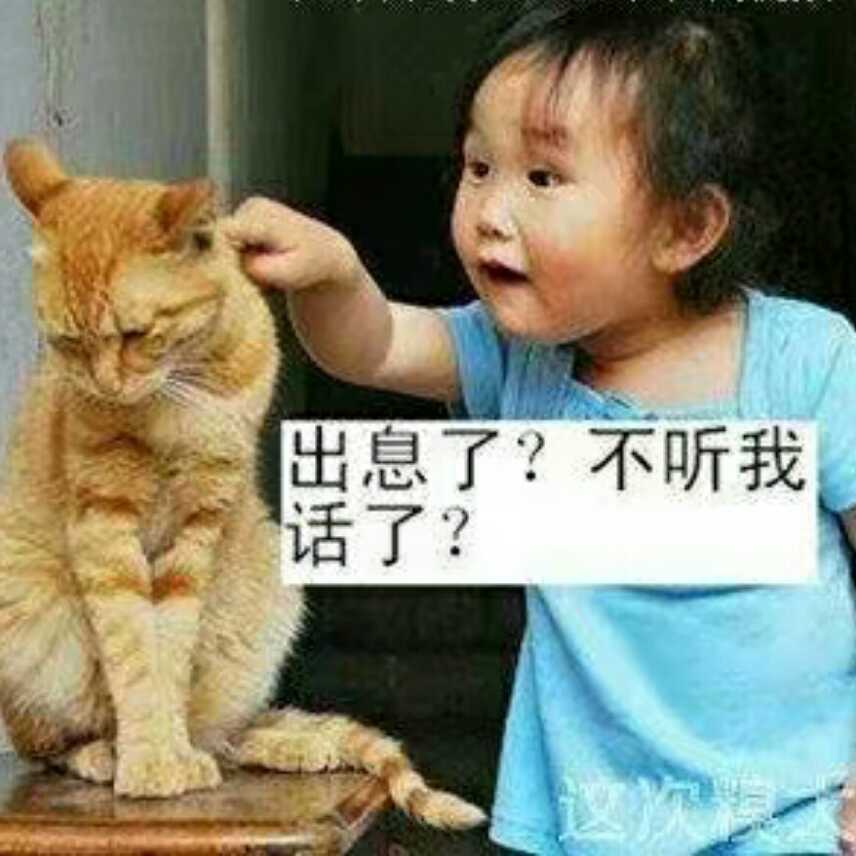 风再继续吹654头像