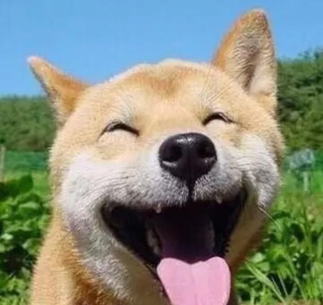 答案。头像