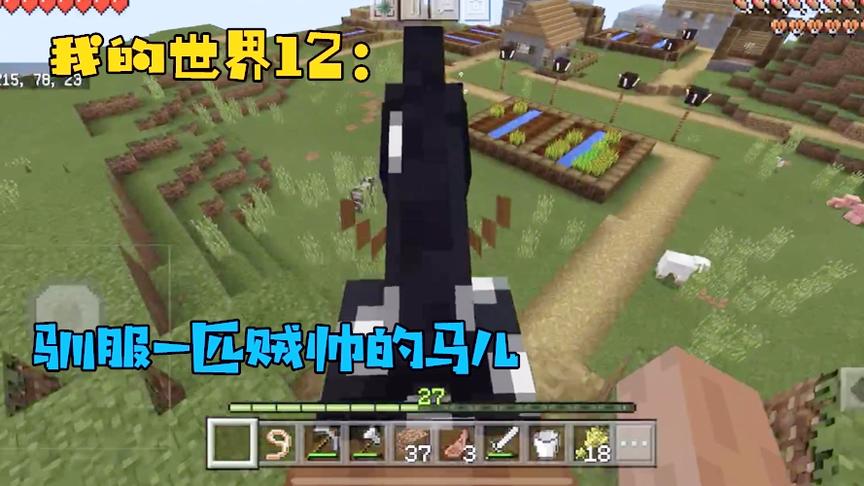 我的世界12：驯服了一匹汗血宝马！从今天开始，你就是我的马了！