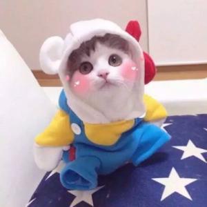 你不会散盐吗头像