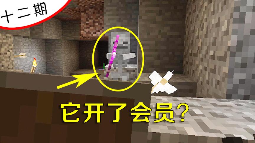 我的世界12：这下面的骷髅都是加buff的？这一箭差点把我射飞了