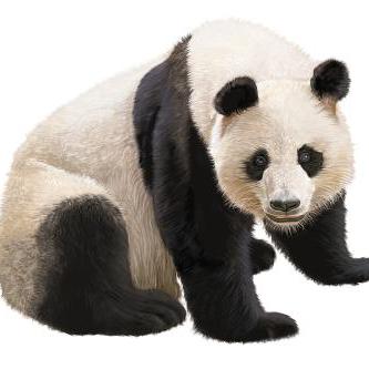 互联网的时代103头像