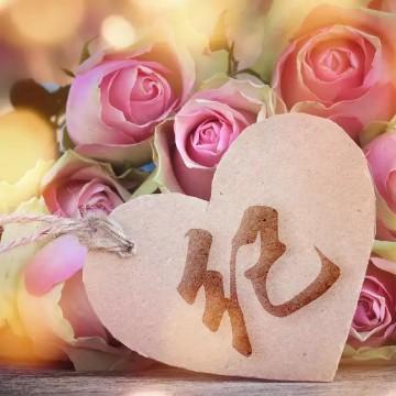 青舂纪念册头像