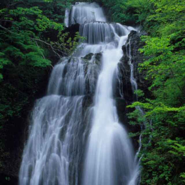 泉水叮咚9239头像