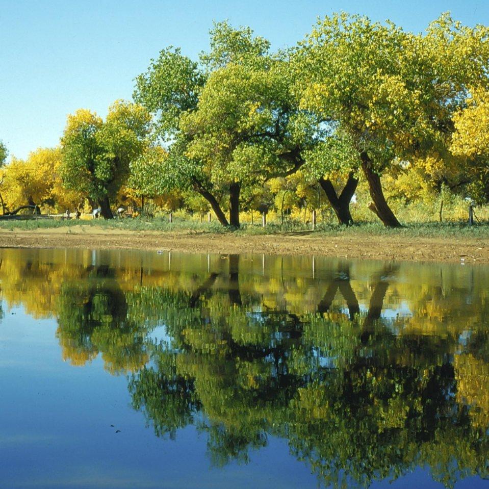 分不清黎明黄昏头像