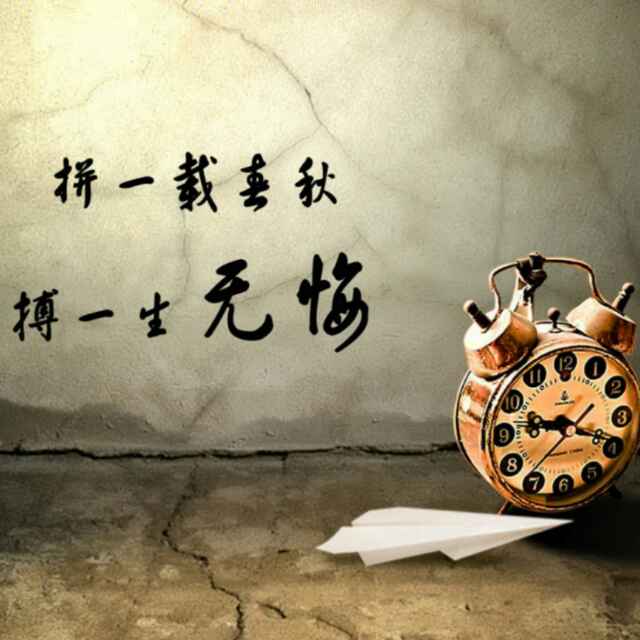 davidxu256头像