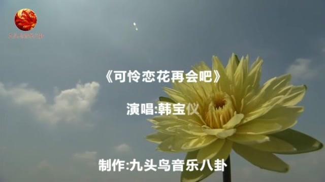 可怜恋花再会吧原唱 西瓜视频