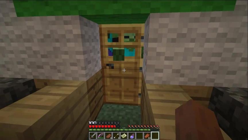 大海解说 我的世界 丧尸村生存大逃亡