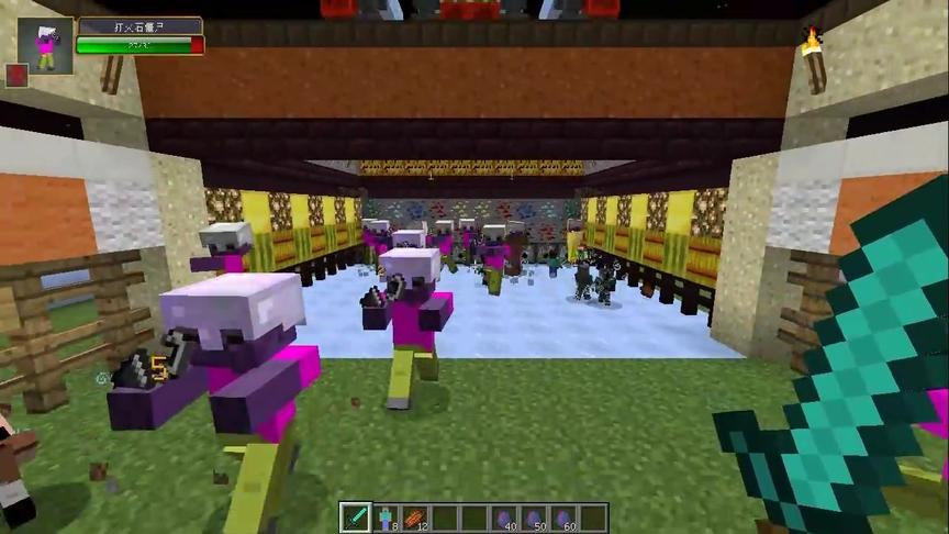 大海解说 我的世界 迷你史蒂夫守卫战Ep8 打火石僵尸