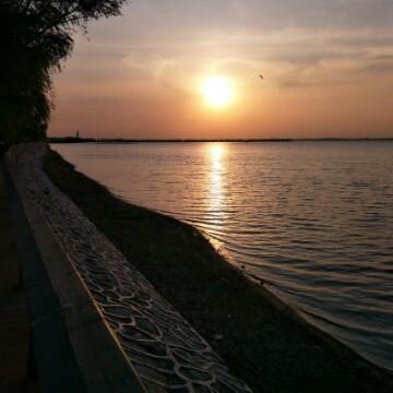 豁达的可口可乐头像