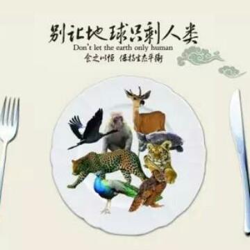 第五翰头像