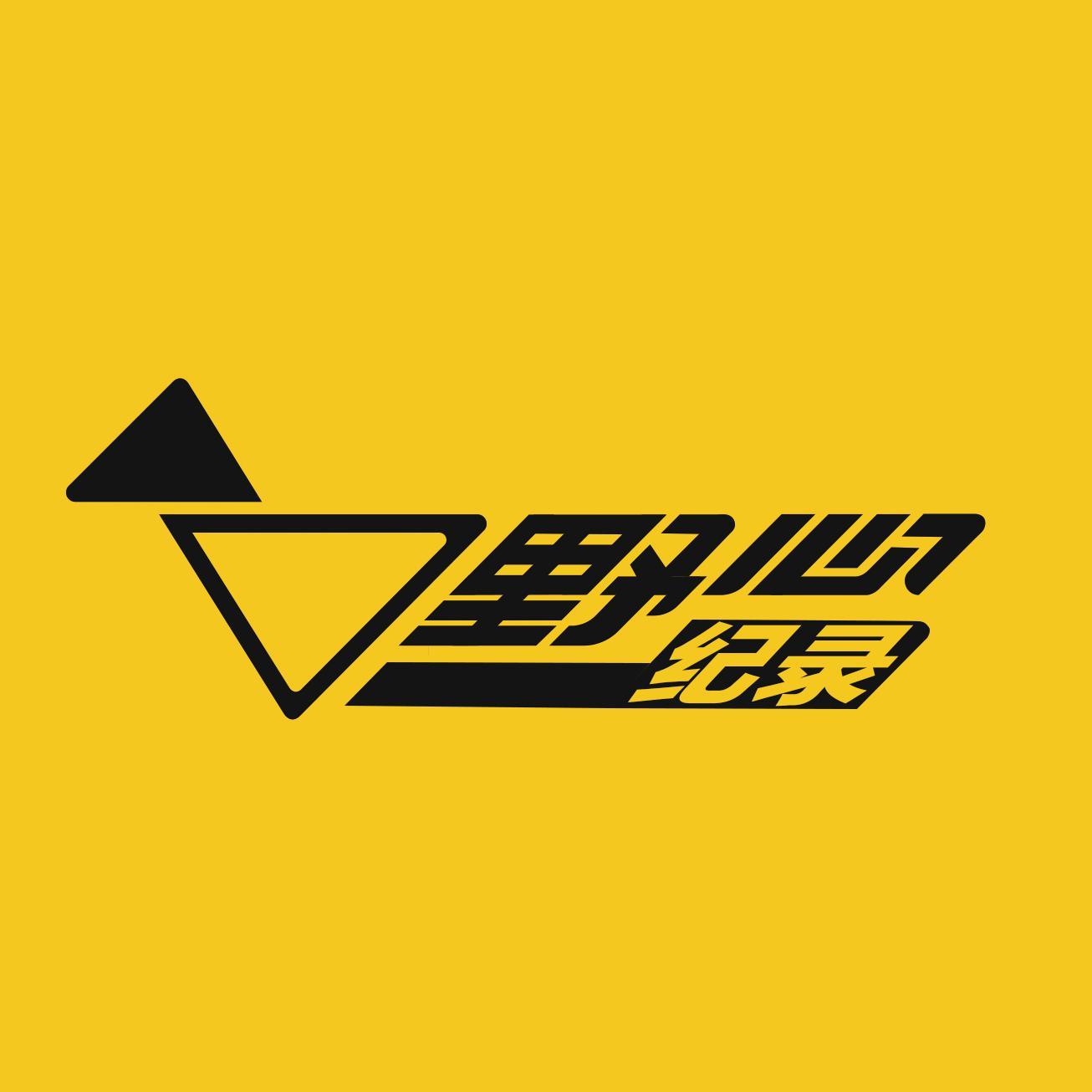 野心纪录头像