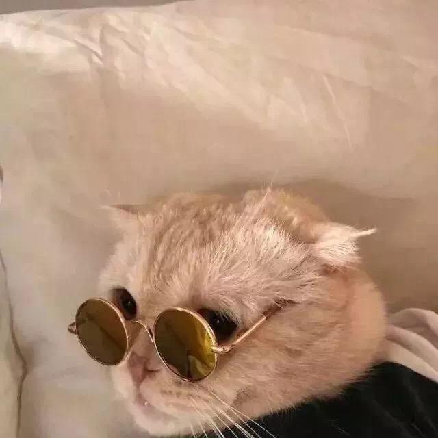 心中有光的Leo头像