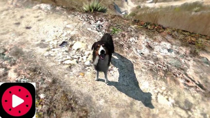 小林解说：今天做个好人将炮芯家的甜芯送回家