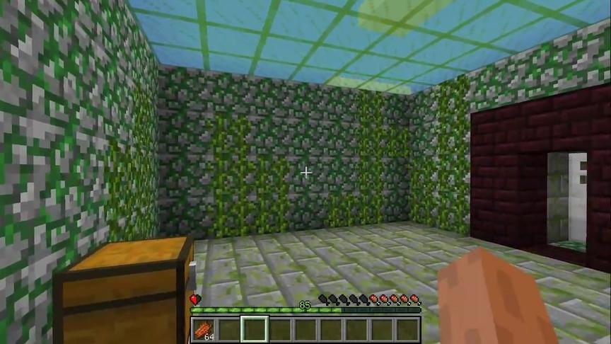 大海解说 我的世界 逗比史蒂夫作死大赛