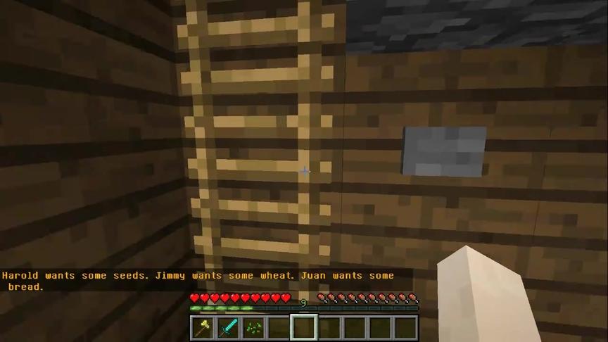 大海解说 我的世界minecraft 烧脑解密之村民密室