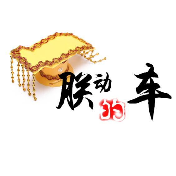 朕动的车头像
